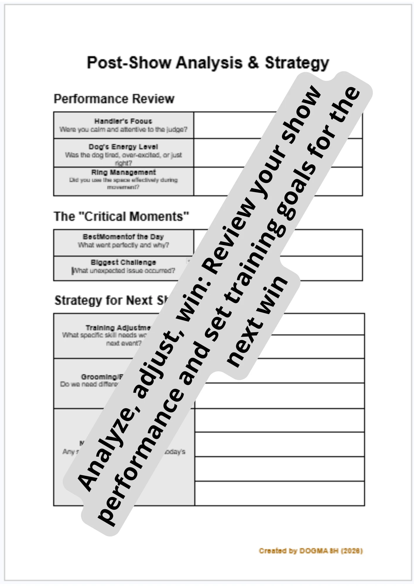 Editable Post-Dog Show Performance Analysis Log